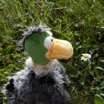 Przytulanka Kaczka 28cm maskotka ptaszek zabawka sigikid - 15